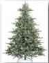 Pine Tree
