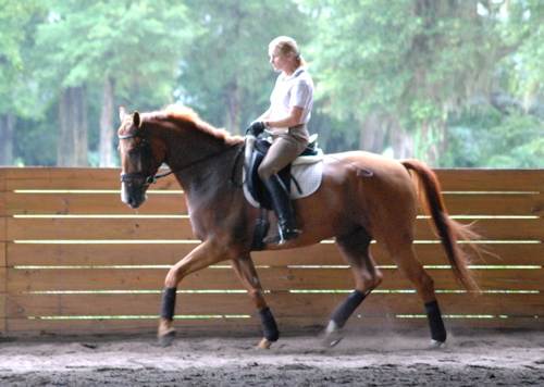 Daven Dancer