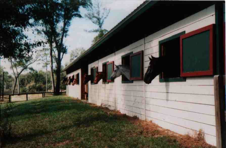 Deerwood Farm South Horses
