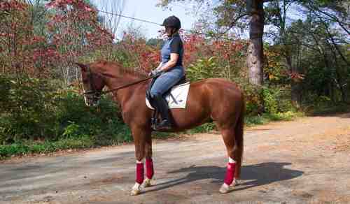 elise and safri