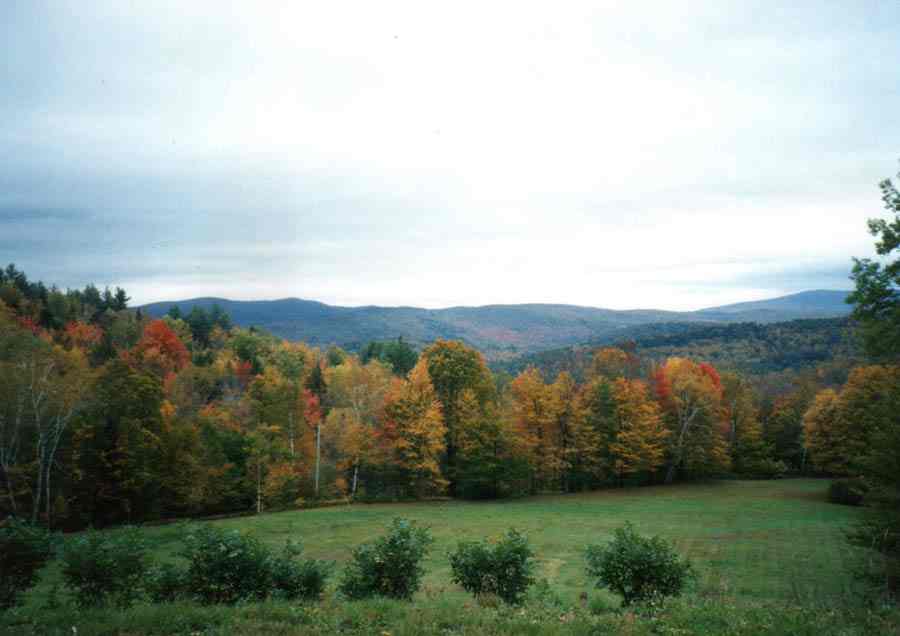 Vermont Views