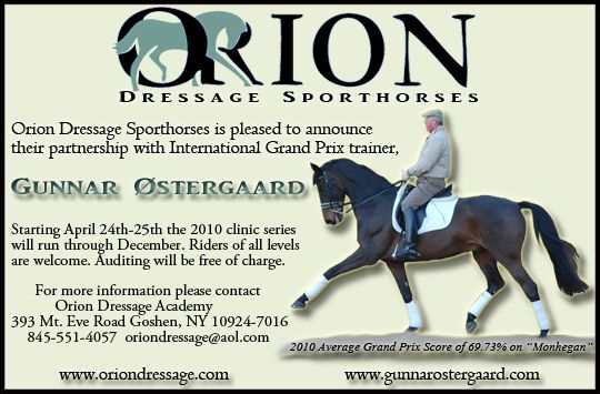 Orion Dressage