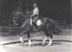 Tanzkonig